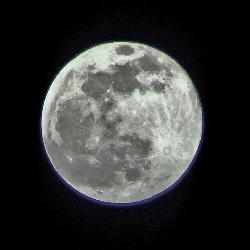 Meet your Posher, Cheyenne